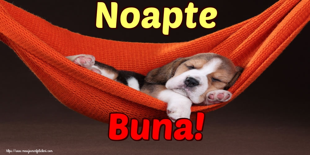 Noapte Buna!