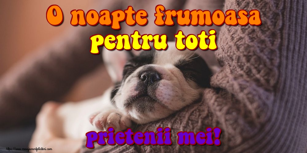 Felicitari de noapte buna - O noapte frumoasa pentru toti prietenii mei! - mesajeurarifelicitari.com