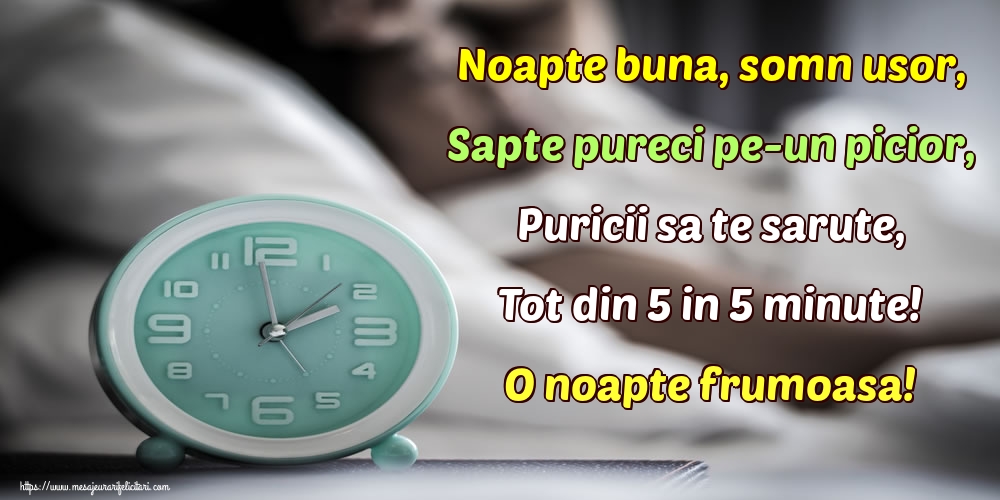 Noapte buna, somn usor, Sapte pureci pe-un picior, Puricii sa te sarute, Tot din 5 in 5 minute! O noapte frumoasa!