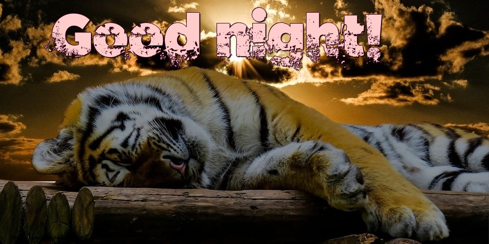 Felicitari de noapte buna in Engleza - Good night!