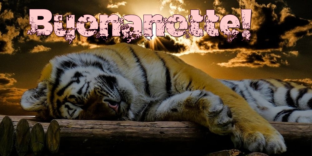 Felicitari de noapte buna in Italiana - Buonanotte!