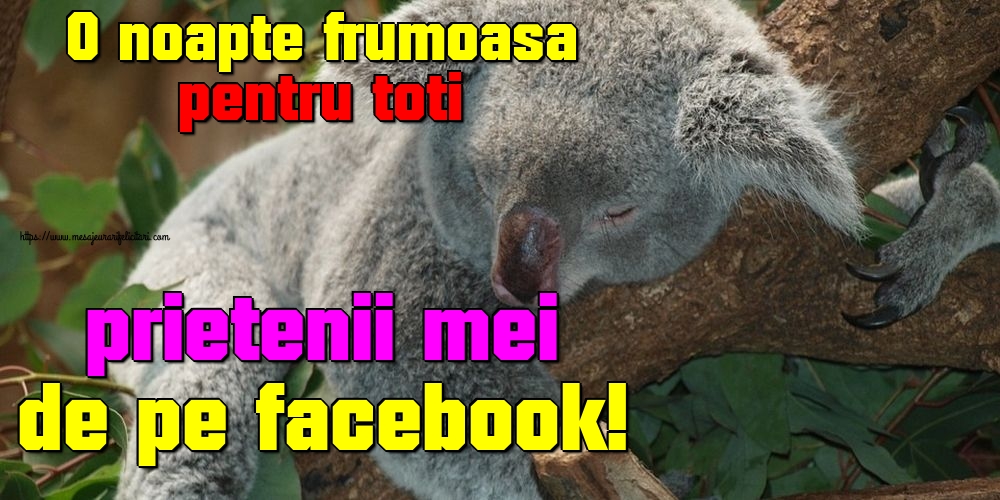 Felicitari de noapte buna - O noapte frumoasa pentru toti prietenii mei de pe facebook! - mesajeurarifelicitari.com
