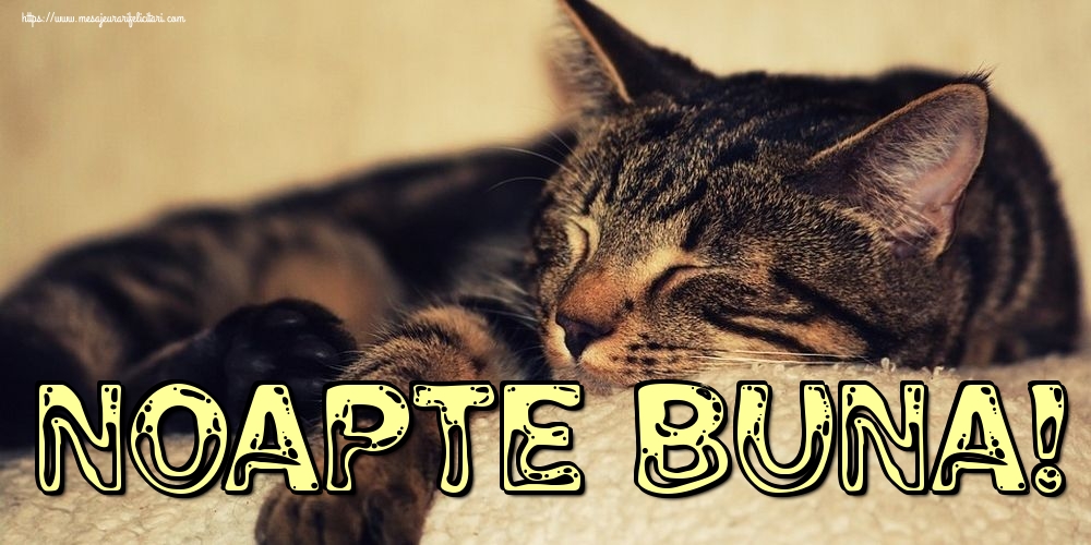 Noapte buna!