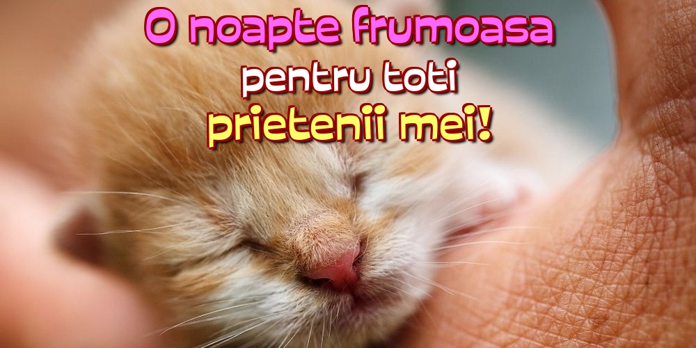 Felicitari de noapte buna - O noapte frumoasa pentru toti prietenii mei! - mesajeurarifelicitari.com