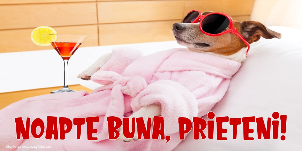 Noapte buna, prieteni!