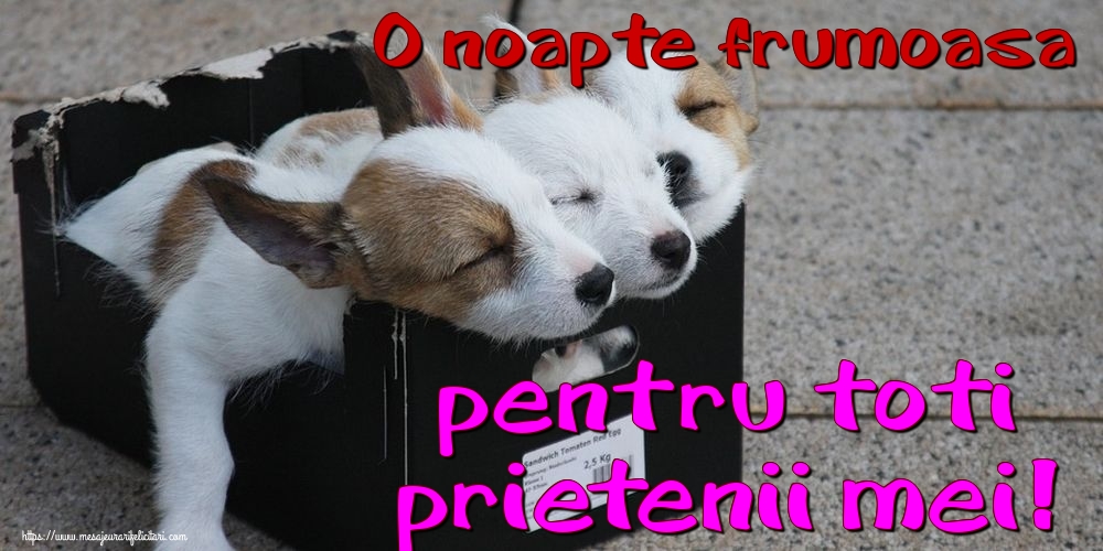 Felicitari de noapte buna - O noapte frumoasa pentru toti prietenii mei! - mesajeurarifelicitari.com