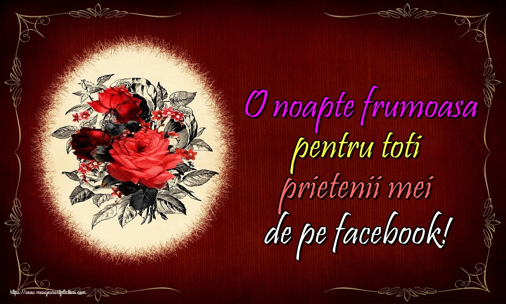 Felicitari de noapte buna - O noapte frumoasa pentru toti prietenii mei de pe facebook! - mesajeurarifelicitari.com