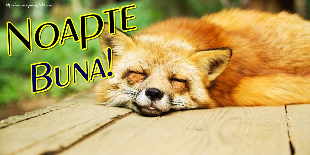 Felicitari de noapte buna - Noapte Buna! - mesajeurarifelicitari.com