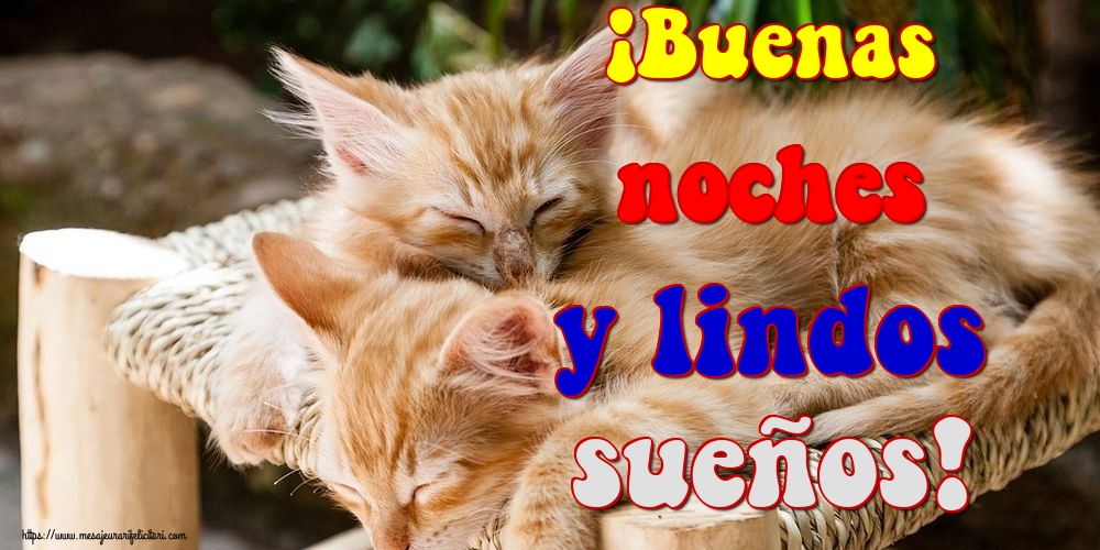 Felicitari de noapte buna in Spaniola - ¡Buenas noches y lindos sueños!