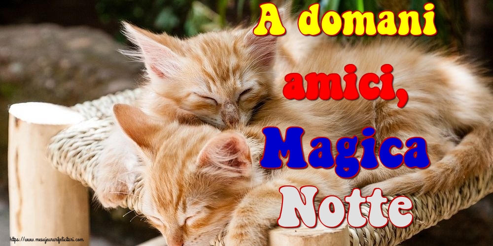 Felicitari de noapte buna in Italiana - A domani amici, Magica Notte