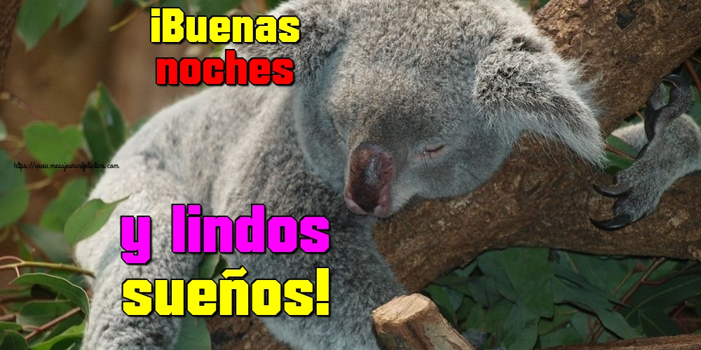 Felicitari de noapte buna in Spaniola - ¡Buenas noches y lindos sueños!