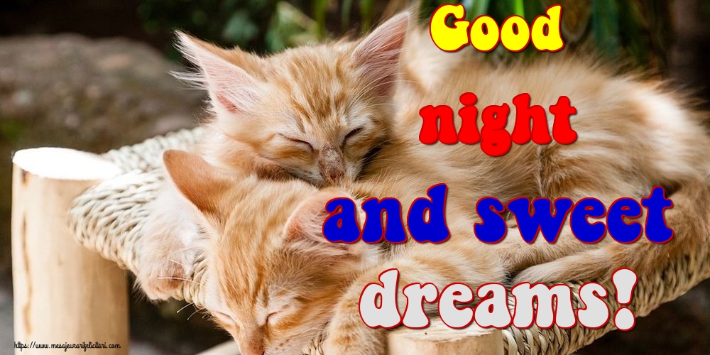 Felicitari de noapte buna in Engleza - Good night and sweet dreams!
