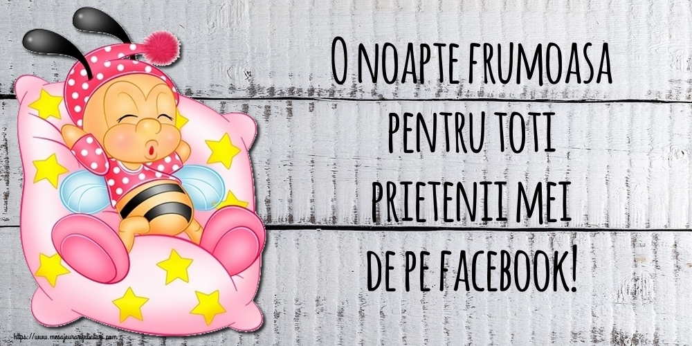 Felicitari de noapte buna - O noapte frumoasa pentru toti prietenii mei de pe facebook! - mesajeurarifelicitari.com