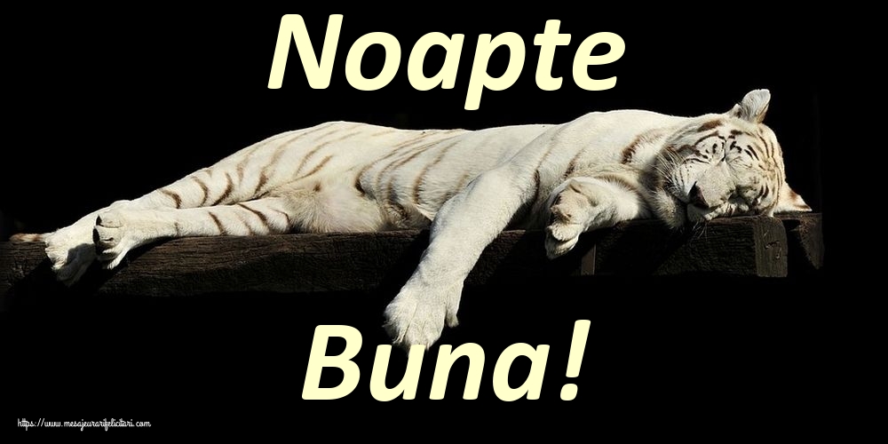Felicitari de noapte buna - Noapte Buna! - mesajeurarifelicitari.com
