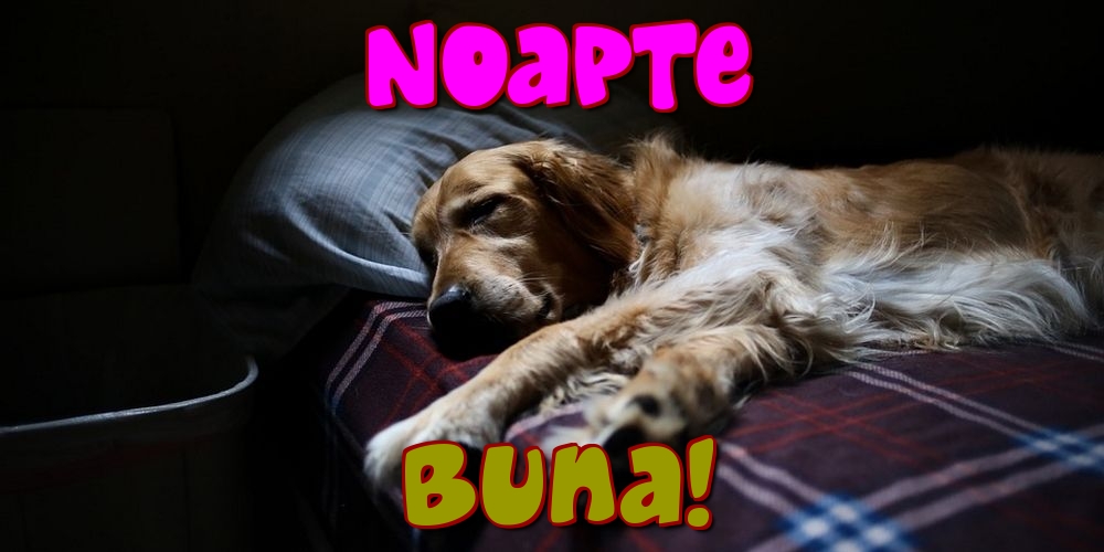 Felicitari de noapte buna - Noapte Buna! - mesajeurarifelicitari.com