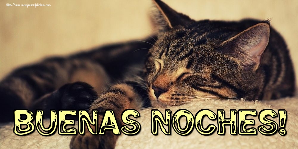 Felicitari de noapte buna in Spaniola - Buenas noches! - mesajeurarifelicitari.com