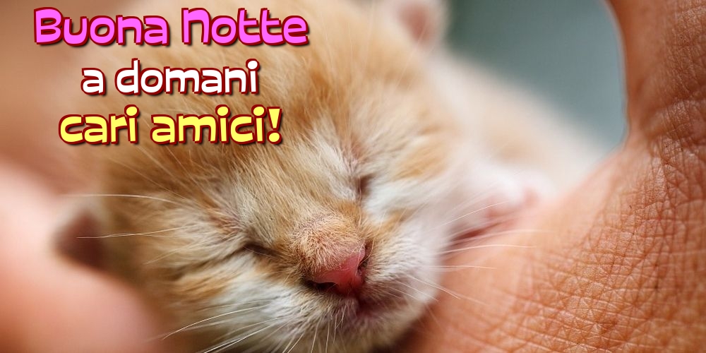 Felicitari de noapte buna in Italiana - Buona Notte a domani cari amici!