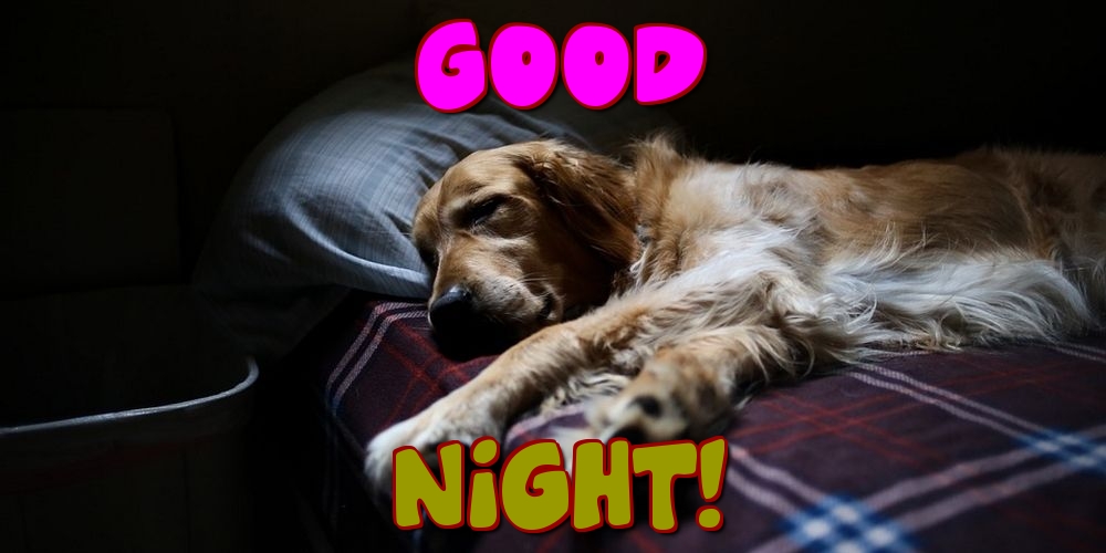 Felicitari de noapte buna in Engleza - Good Night!