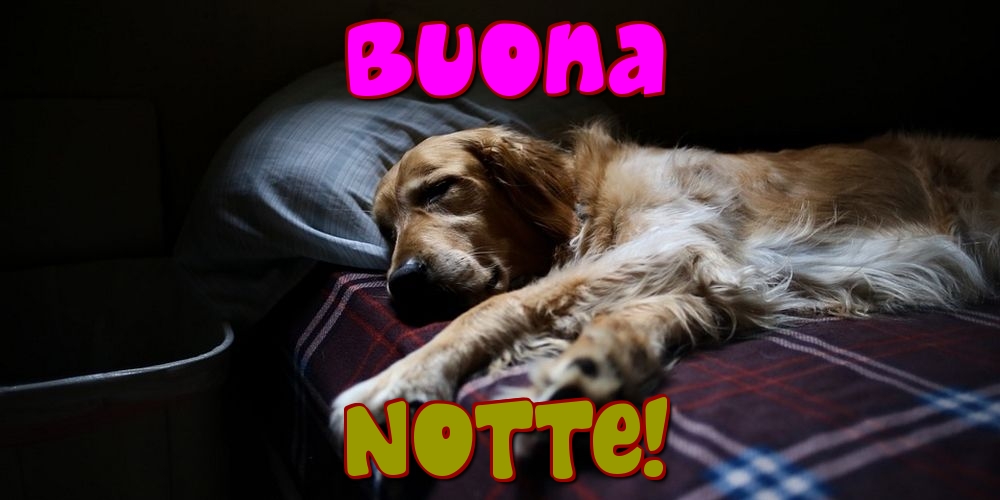 Felicitari de noapte buna in Italiana - Buona Notte!