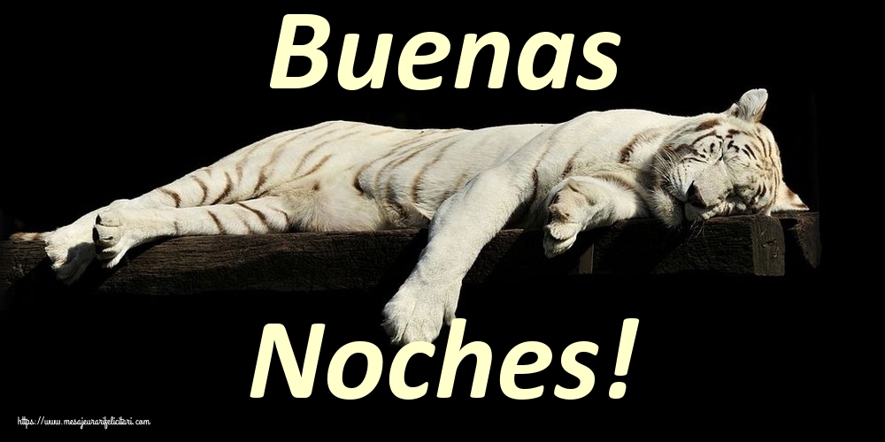 Felicitari de noapte buna in Spaniola - Buenas Noches! - mesajeurarifelicitari.com