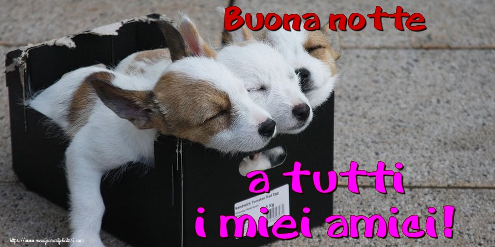 Felicitari de noapte buna in Italiana - Buona notte a tutti i miei amici!