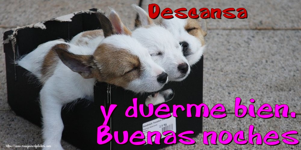 Felicitari de noapte buna in Spaniola - Descansa y duerme bien. Buenas noches
