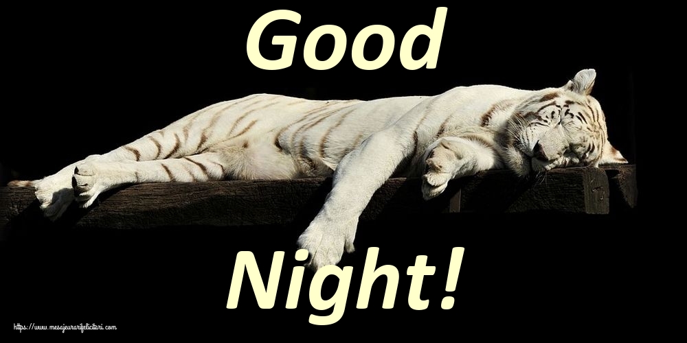 Felicitari de noapte buna in Engleza - Good Night!