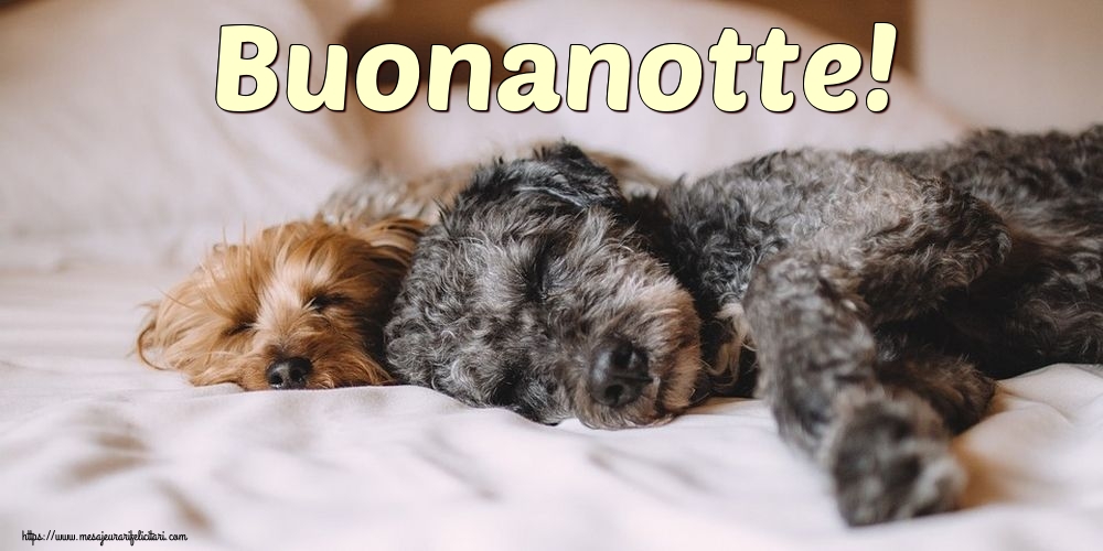 Felicitari de noapte buna in Italiana - Buonanotte!