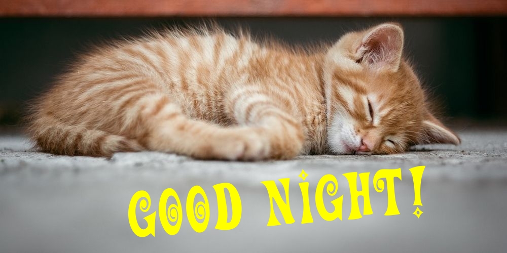 Felicitari de noapte buna in Engleza - Good night!