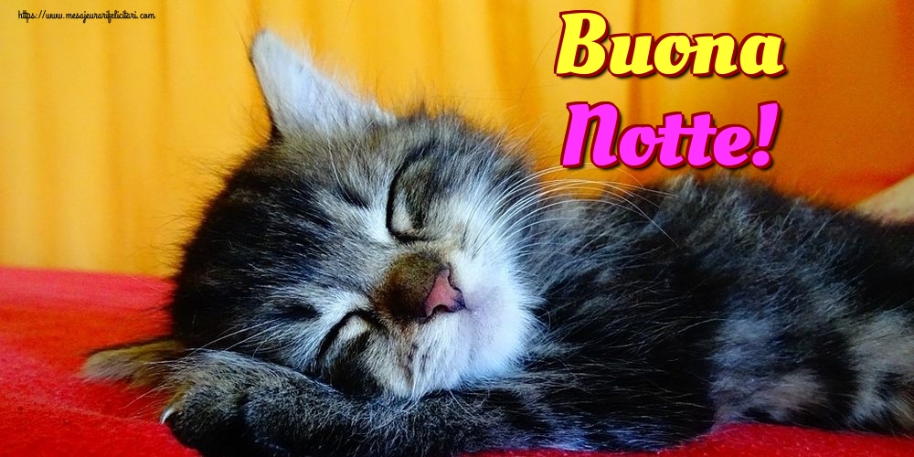 Felicitari de noapte buna in Italiana - Buona Notte!