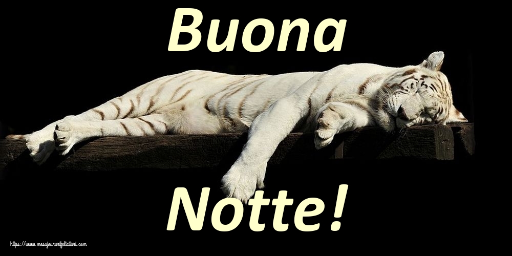 Felicitari de noapte buna in Italiana - Buona Notte!