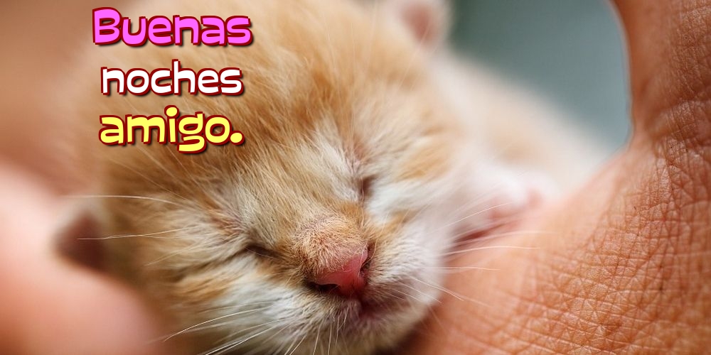 Felicitari de noapte buna in Spaniola - Buenas noches amigo.