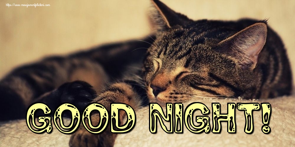 Felicitari de noapte buna in Engleza - Good night!