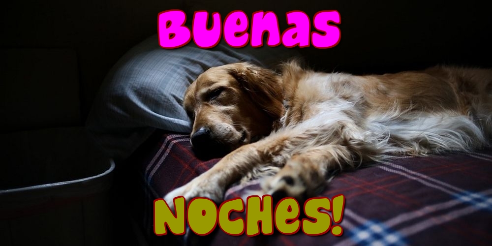 Felicitari de noapte buna in Spaniola - Buenas Noches!