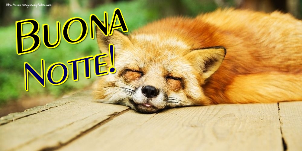 Felicitari de noapte buna in Italiana - Buona Notte!