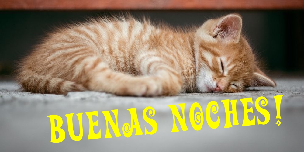 Felicitari de noapte buna in Spaniola - Buenas noches!