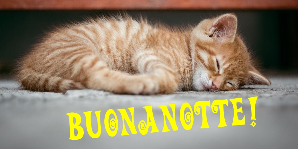 Felicitari de noapte buna in Italiana - Buonanotte!