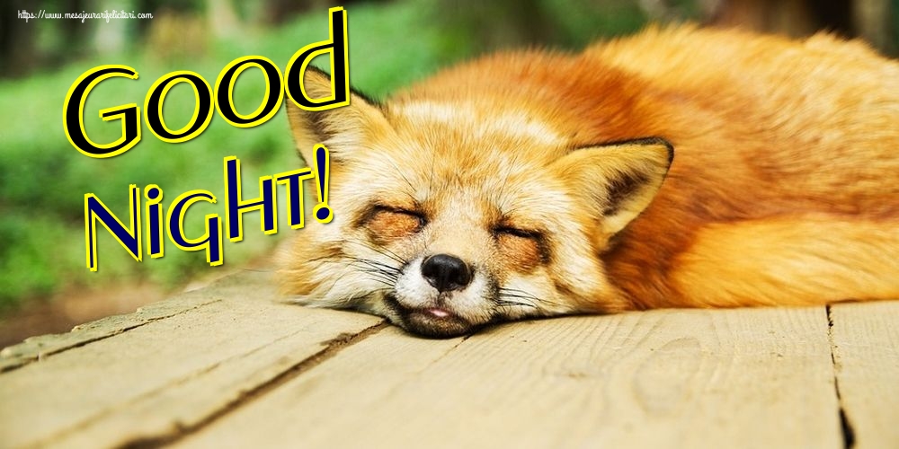 Felicitari de noapte buna in Engleza - Good Night!