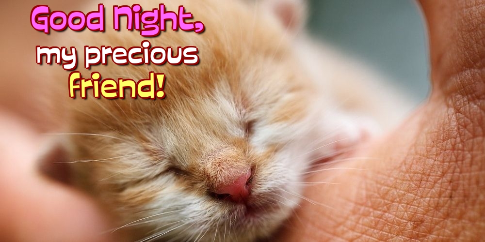 Felicitari de noapte buna in Engleza - Good Night, my precious friend!