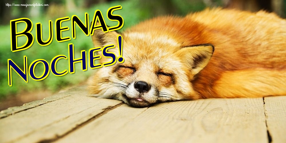 Felicitari de noapte buna in Spaniola - Buenas Noches!