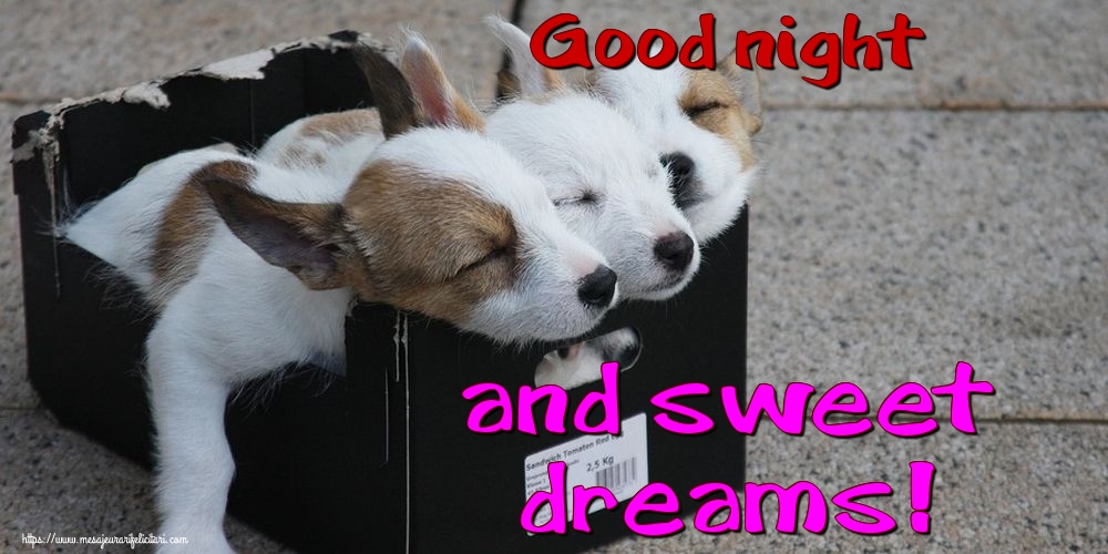 Felicitari de noapte buna in Engleza - Good night and sweet dreams!