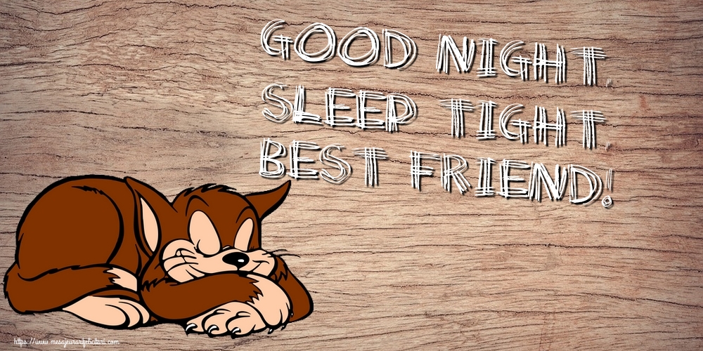 Felicitari de noapte buna in Engleza - Good night, sleep tight, best friend!