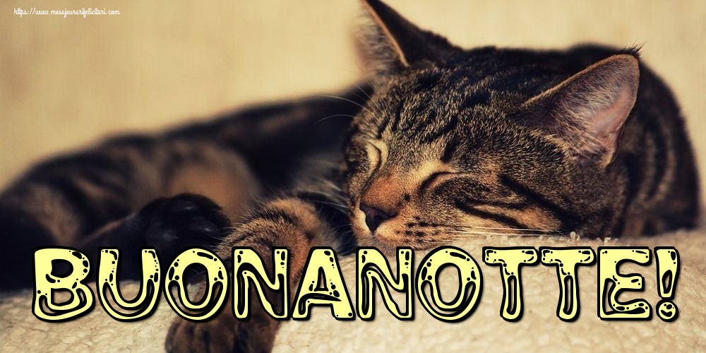 Felicitari de noapte buna in Italiana - Buonanotte!