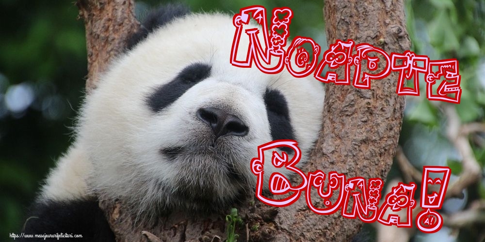 Felicitari de noapte buna - Noapte Buna! - mesajeurarifelicitari.com