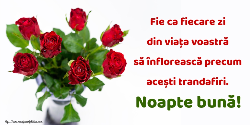 Felicitari de noapte buna - Fie ca fiecare zi din viața voastră să înflorească precum acești trandafiri. Noapte bună! - mesajeurarifelicitari.com