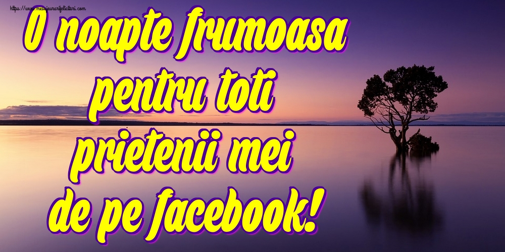 Felicitari de noapte buna - O noapte frumoasa pentru toti prietenii mei de pe facebook! - mesajeurarifelicitari.com