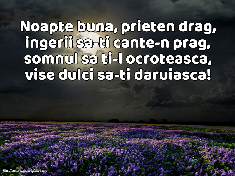 Noapte buna, prieten drag!