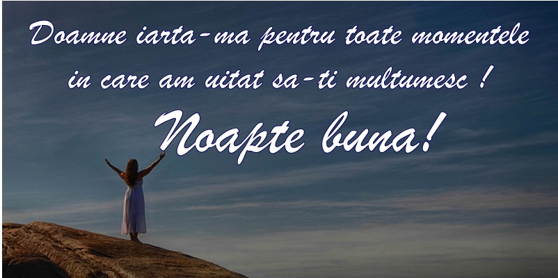 Felicitari de noapte buna - Domane iarta-ma pentru toate momentele in care am uitat sa-ti multumesc! Noapte buna! - mesajeurarifelicitari.com