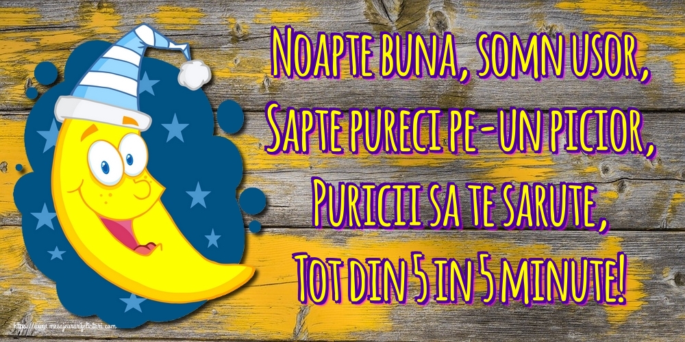 Felicitari de noapte buna - Noapte buna, somn usor, Sapte pureci pe-un picior, Puricii sa te sarute, Tot din 5 in 5 minute! - mesajeurarifelicitari.com