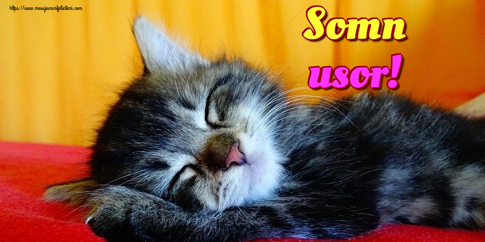 Felicitari de noapte buna - Somn usor! - mesajeurarifelicitari.com